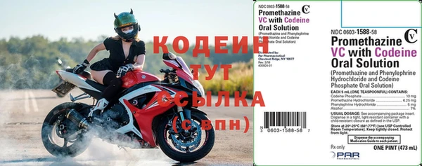 прущий лед Алзамай
