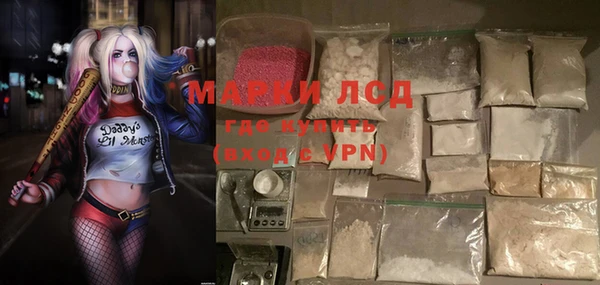 прущий лед Алзамай