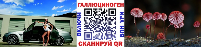 Купить закладки  Шацк  Псилоцибиновые грибы мухоморы 